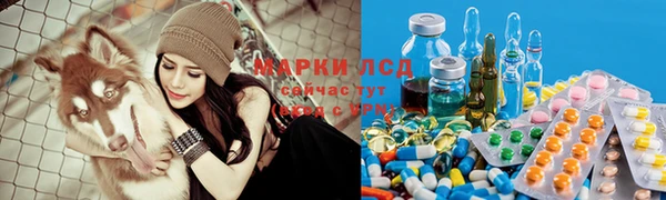 кокс Арсеньев