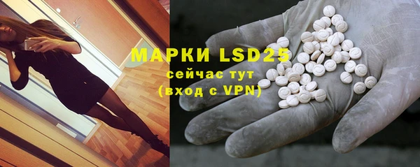ГАЛЛЮЦИНОГЕННЫЕ ГРИБЫ Аркадак