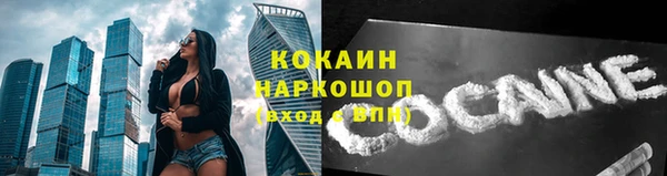 ГАЛЛЮЦИНОГЕННЫЕ ГРИБЫ Аркадак