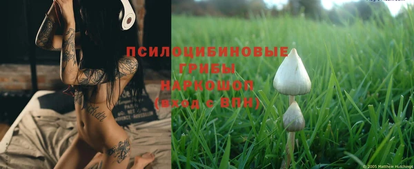 ГАЛЛЮЦИНОГЕННЫЕ ГРИБЫ Аркадак