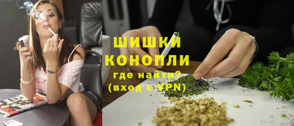 ГАЛЛЮЦИНОГЕННЫЕ ГРИБЫ Аркадак